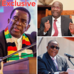 ZIMBABWE HELD HOSTAGE BY POWER-HUNGRY GENERALS AND BILLIONAIRE FRIENDS