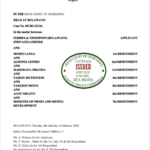 ZANU PF YOUTHS, LAWLESSNESS, AND THE DEATH OF INVESTOR CONFIDENCE